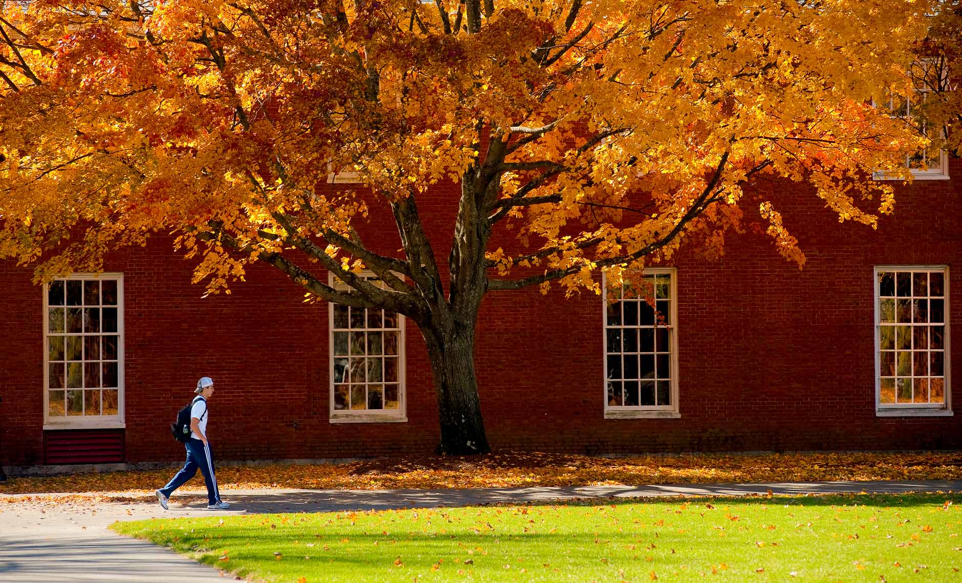 lone college student walking on campus with fall foliage