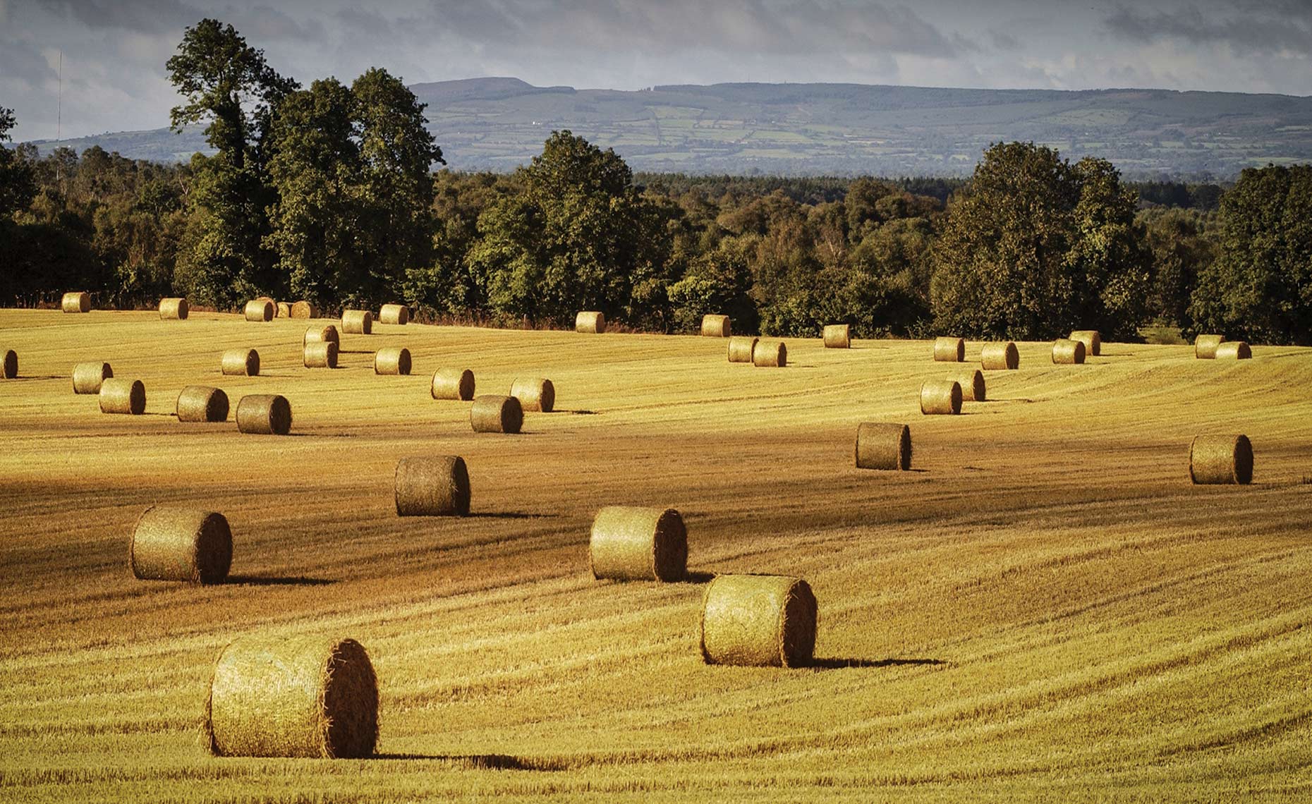 Travel photography showing hay field in Ireland